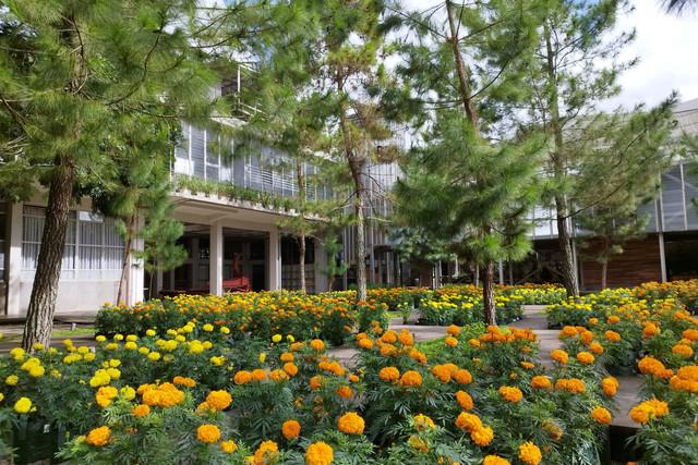 Rumah Atsiri Indonesia. Foto: Shutterstock