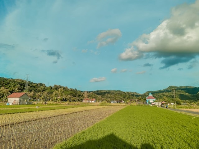 Arenan Kalikesek. Foto Hanya Ilustrasi, Bukan Sebenarnya. Sumber Foto: Unsplash.com/Pranawa Capture