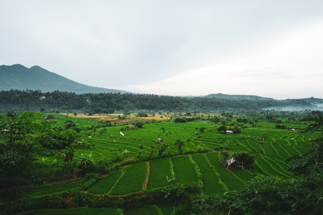 Soklatan Kampung Indah. Foto hanya ilustrasi, bukan tempat sebenarnya. Sumber: Unsplash/mtsjrdl