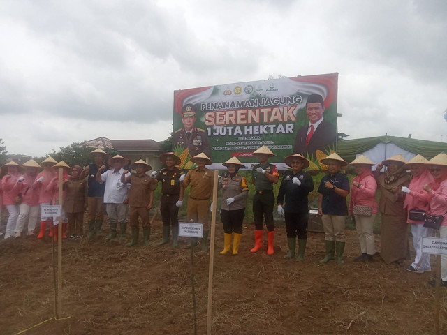 Kegiatan penanaman jagung serentak/Anyelir