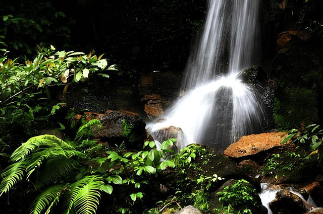 Curug Macan, Taman Nasional Gunung Halimun Salak. Sumber : Shutterstock