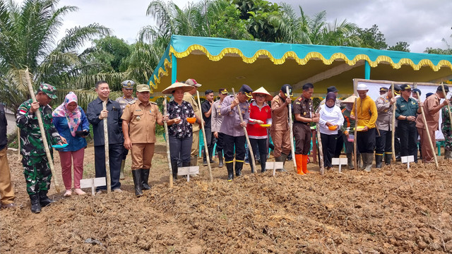 Penanaman jagung serentak yang dilaksanakan di Senuruk, Desa Sungai Ringin, Kecamatan Sekadau Hilir, Kabupaten Sekadau. Foto: Dina Mariana/Hi!Pontianak