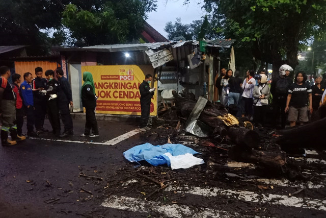 Pohon tumbang menimpa penjual angkringan di Yogyakarta, Selasa (21/1/2025). Foto: Polresta Yogya