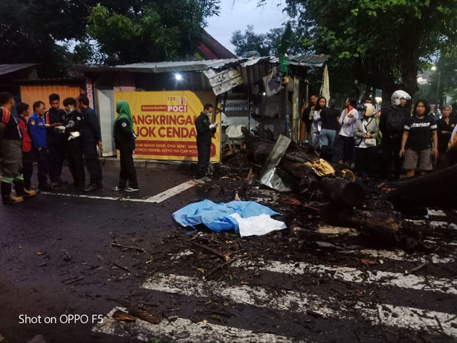 Kondisi warga Semaki, Umbulharjo, Kota Yogyakarta setelah tertimpa pohon tumbang. (Foto: Humas Polresta Yogyakarta)