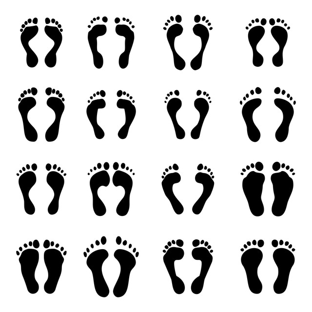 https://www.freepik.com/free-vector/collection-different-print-foots-black-silhouette-set-vector_24450714.htm#fromView=search&page=1&position=46&uuid=2eb71af3-5571-417f-840a-b0eb6c599be3&query=foot