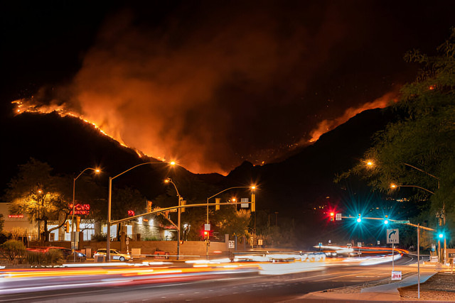 Kebakaran di Los Angeles (LA). Foto: Wirestock/istochkphoto.com