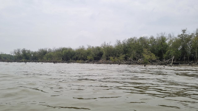 Lokasi HGB di perairan Desa Segoro Tambak, Kecamatan Sedati, Kabupaten Sidoarjo, Rabu (22/1/2025). Foto: Farusma Okta Verdian/kumparan