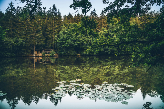 Waduk Dempok Malang. Foto hanya ilustrasi, bukan tempat sebenarnya. Foto: dok. Unsplash/Michael Heuser