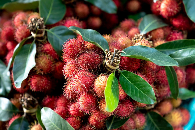 Ilustrasi Apakah Biji Rambutan Bisa Dimakan,Foto:Pexels/Quang Nguyen Vinh