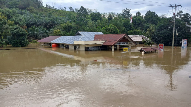 Kondisi banjir setinggi 4 meter yang telah merendam permukiman warga di Desa Darit, Kecamatan Menyuke, Kabupaten Landak, Kalimantan Barat pada Kamis, 23 Januari 2025. Foto: Dok. Istimewa