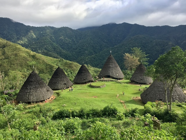 Desa wisata di Flores. Foto: Desa Wae Rebo. Sumber: Unsplash/Ash Hayes