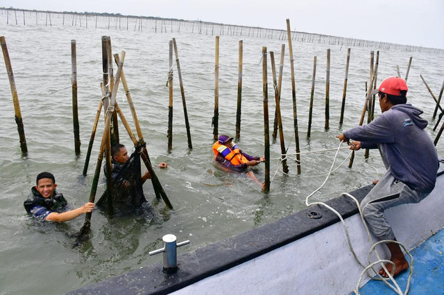 TNI AL lanjutkan pembongkaran pagar laut di Tangerang, Kamis (23/1/2025). Foto: Dispenal