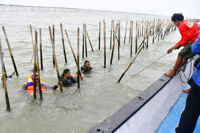 TNI AL lanjutkan pembongkaran pagar laut di Tangerang, Kamis (23/1/2025). Foto: Dispenal