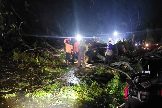 Longsor menutup Jalan Raya Cipanas-Puncak, Kecamatan Cipanas, Kabupaten Cianjur, Jawa Barat, Kamis (23/1/2025). Foto: Dok. Istimewa