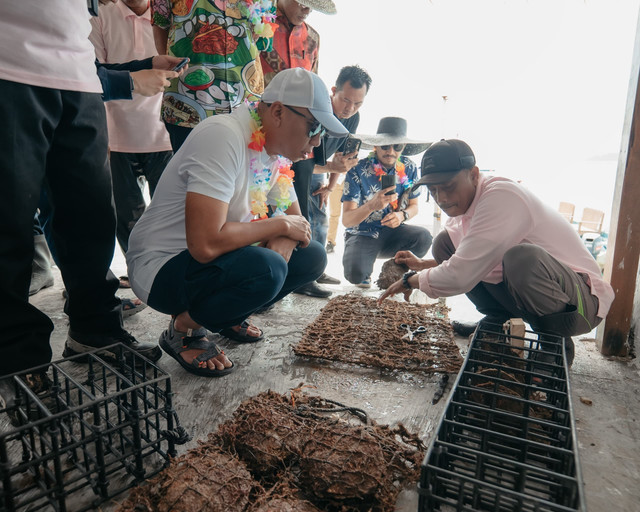 Gubernur Lampung terpilih, Rahmat Mirzani Djausal saat menghadiri acara panen mutiara di penangkaran The Hurun, Pesawaran | Foto : Ist