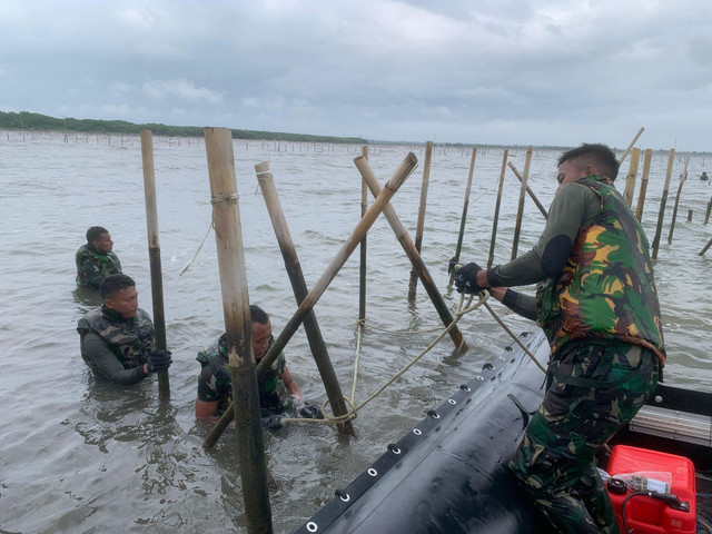 Anggota TNI AL membongkar pagar laut di Tangerang, Banten, Sabtu (25/1). Foto: Dok. Dispenal