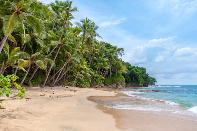 Pantai Kondang Merak. Foto hanya ilustrasi, bukan tempat sebenarnya. Sumber: Unsplash/Rowan Heuvel