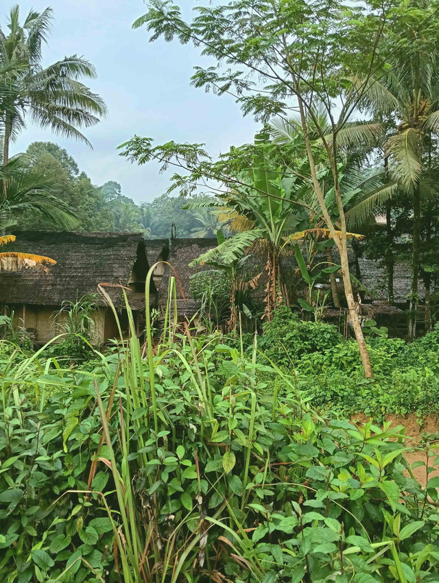 Kampung Adat Baduy Luar. Foto: Dokumentasi Pribadi