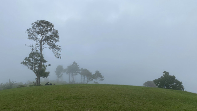 Ilustrasi Tempat Wisata di Tomohon. Unsplash/Kezia Gabriela