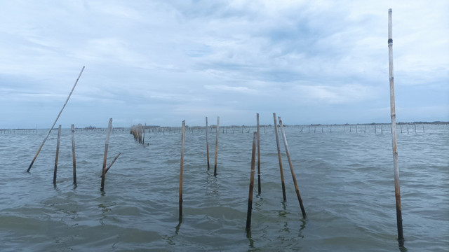 Pagar laut di pesisir pantai Desa Kohod, Kecamatan Pakuhaji, Kabupaten Tangerang, Rabu (22/1/2025).  Foto: Agaton Kenshanahan/kumparan