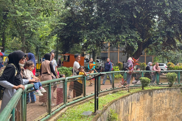 Sejumlah pengunjung di Taman Marga Satwa Ragunan, Jakarta, Senin (27/1/2025). Foto: Luthfi Humam/kumparan