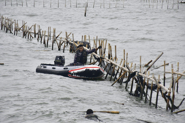 TNI AL bersama Instansi Maritim dan nelayan teruskan pembongkaran pagar laut yang sudah mencapai 18,7 Km di Tangerang, Banten, Senin (27/1/2025). Foto: Dok. Dinas Penerangan Angkatan Laut