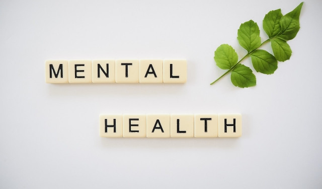 foto Ilustrasi Mental Health. Foto: Pixabay.com/TotalShape