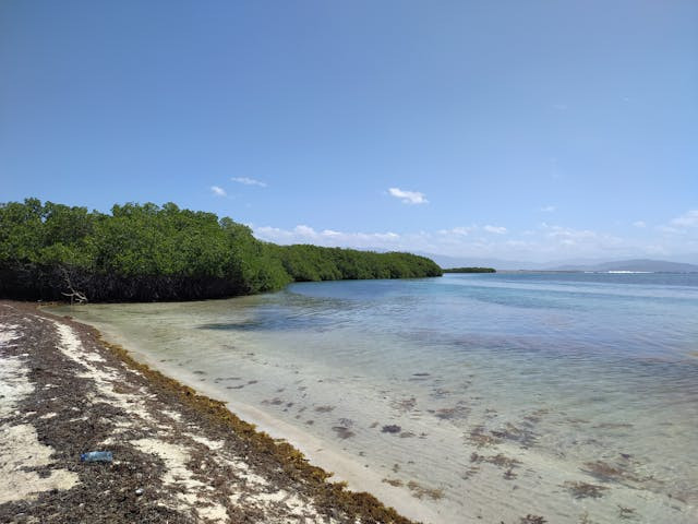 pemanfaatan laut zona lithoral adalah. Foto hanya ilustrasi. Sumber: Pexels 