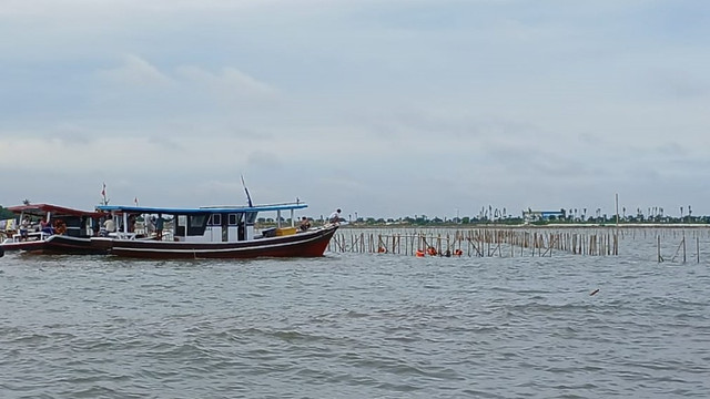 Petugas melakukan pencabutan dan pembongkaran pagar bambu yang memagari kawasan laut Tangerang, Selasa (28/1/2025). Foto: Dok. Istimewa