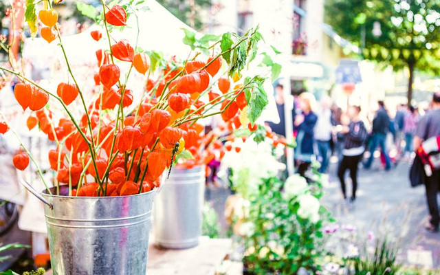 Pasar Splendid Malang. Foto hanya ilustrasi, bukan tempat sebenarnya. Sumber: pexels.com/anna-m. w.