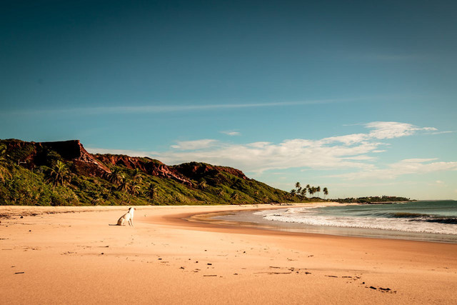 Pantai Jebring. Foto hanya ilustrasi, bukan tempat sebenarnya. Sumber: Pexels/Alexandre Saraiva Carniato