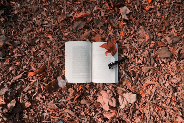 Ilustrasi rekomendasi novel no romance. Foto: Sibel Yıldırım / Unsplash