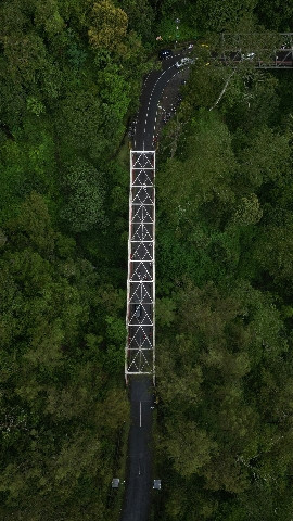 https://unsplash.com/photos/an-overhead-view-of-a-bridge-in-the-middle-of-a-forest-217U5d_SlPU