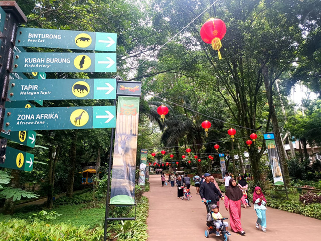 Suasana Bandung Zoo pada Rabu (29/1).  Foto: Robby Bouceu/kumparan