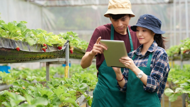 Ilustrasi mahasiswa bidang studi agribisnis. Foto: The University of Arizona