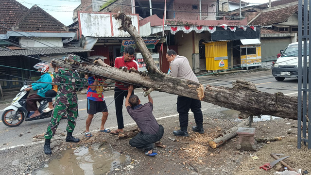 Polsek Bandung Bantu Evakuasi Pohon Tumbang di Jalan Bandung-Durenan