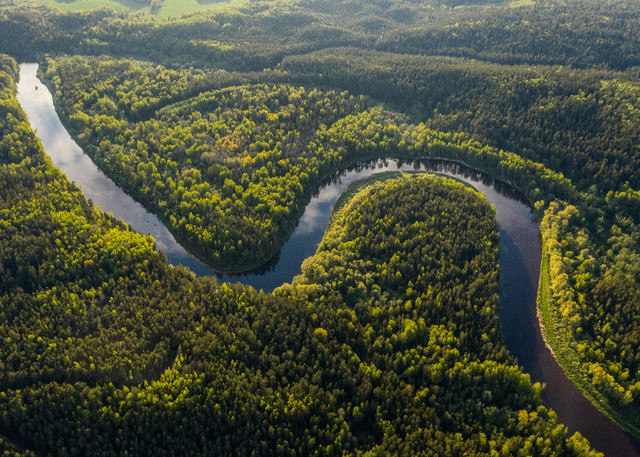 Ilustrasi Sejarah Sungai Amazon, Unsplash/Ivars Utināns