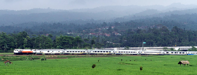 Kereta api milik PT Kereta Api Indonesia (Persero) sedang melewati areah sawah. Foto : kai.id