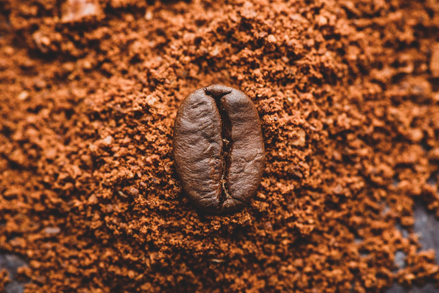 Ilustrasi Penyebab biji kopi. Foto: Unsplash/Nguyen Tong Hai Van