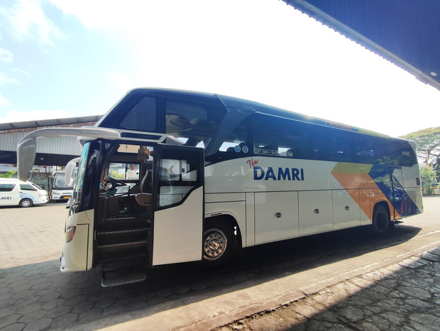 Bus DAMRI. Foto: Dok. DAMRI