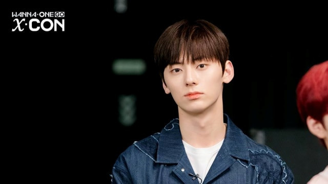 Biodata Hwang Minhyun. Foto: Facebook/@WannaOne.official