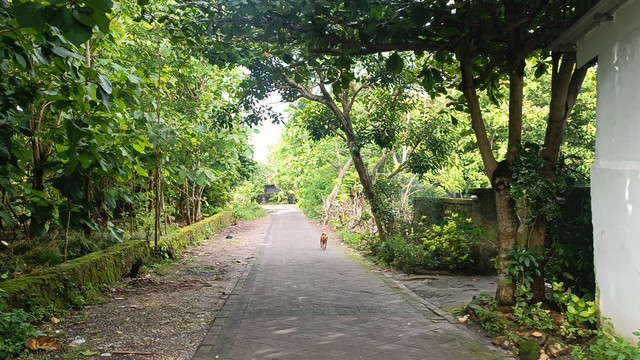 Suasana Lokasi Perampokan Kripto Rp 3,4 Miliar WN Ukraina di Bali. Foto: Denita BR Matondang/kumparan