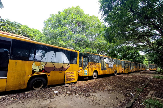 Sejumlah bus sekolah terbengkalai di lingkungan Jalan SOR GBLA, Gedebage, Bandung, Minggu (2/2/2025). Foto: Robby Bouceu/kumparan