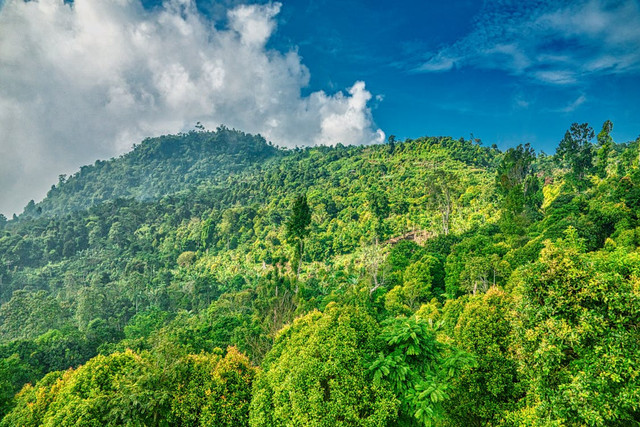 Ilustrasi Sejarah Gunung Palasari Sumedang, Pexels/Tom Fisk