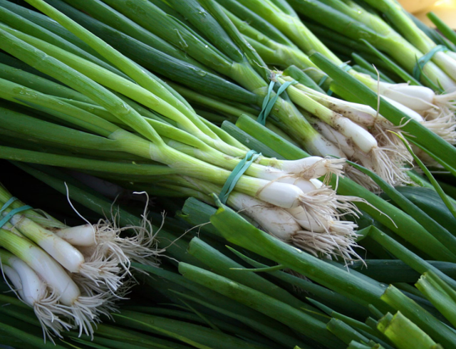 7 macam sayur imlek. Sumber: Unsplash/Christopher Previte. Foto adalah daun bawang