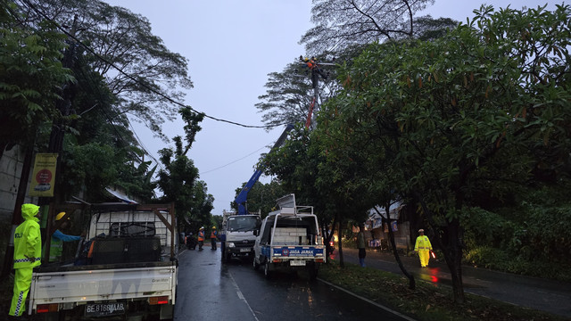 Petugas PLN saat melakukan perbaikan jaringan listrik yang terputus akibat pohon tumbang. | Foto: PLN UID Lampung