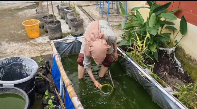 foto kegiatan saat pembersihan kolam ikan, sumber : dokumentasi pribadi 