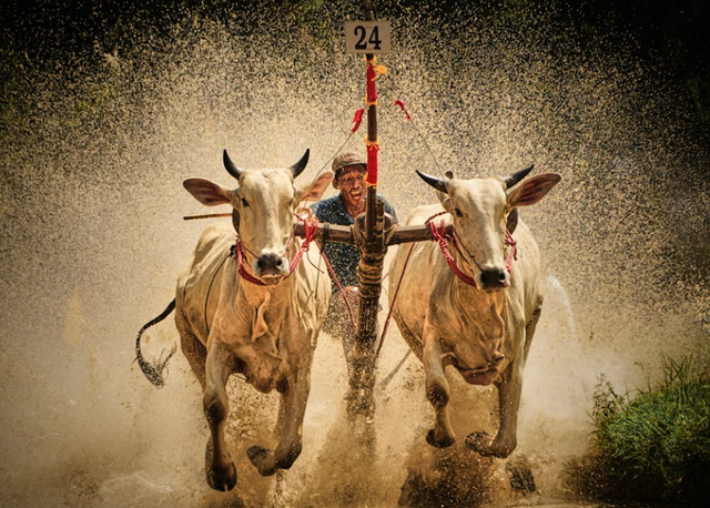 Ilustrasi tugas jawa hokokai. Sumber: Pexels/Duong Phuoc Tien