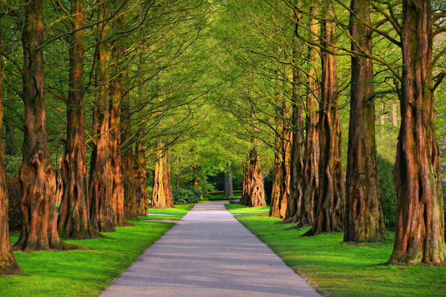 Taman Brilliant Park Semarang. Foto hanya ilustrasi, bukan tempat yang sebenarnya. Sumber: Pixabay/MabelAmber