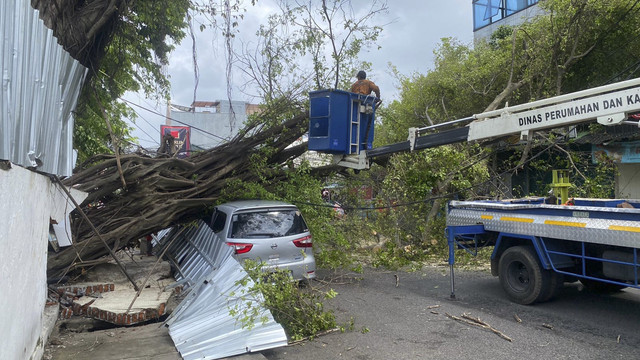 Mobil Nissan Livina tertimpa pohon tumbang di Kota Semarang.  Foto: Istimewa